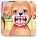 狗狗牙齿护理